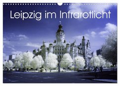 Leipzig im Infrarotlicht (Wandkalender 2025 DIN A3 quer), CALVENDO Monatskalender