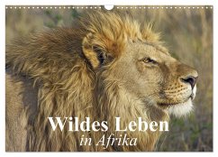 Wildes Leben in Afrika (Wandkalender 2025 DIN A3 quer), CALVENDO Monatskalender