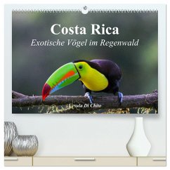 Costa Rica - Exotische Vögel im Regenwald (hochwertiger Premium Wandkalender 2025 DIN A2 quer), Kunstdruck in Hochglanz - Calvendo;Di Chito, Ursula