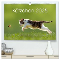 Kätzchen 2025 (hochwertiger Premium Wandkalender 2025 DIN A2 quer), Kunstdruck in Hochglanz - Calvendo;Leoba