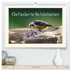Gefiederte Schönheiten - Die Blaumeise (hochwertiger Premium Wandkalender 2025 DIN A2 quer), Kunstdruck in Hochglanz