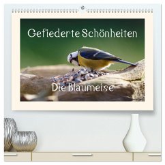 Gefiederte Schönheiten - Die Blaumeise (hochwertiger Premium Wandkalender 2025 DIN A2 quer), Kunstdruck in Hochglanz - Calvendo;pötsch, rolf