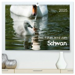 Das Küken wird zum Schwan (hochwertiger Premium Wandkalender 2025 DIN A2 quer), Kunstdruck in Hochglanz - Calvendo;Frank, Roland T.