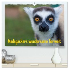 Madagaskars wundersame Tierwelt (hochwertiger Premium Wandkalender 2025 DIN A2 quer), Kunstdruck in Hochglanz - Calvendo;Hopfmann, Antje