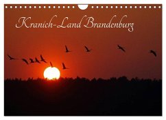 Kranich-Land Brandenburg (Wandkalender 2025 DIN A4 quer), CALVENDO Monatskalender - Calvendo;Konieczka, Klaus