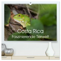 Costa Rica. Faszinierende Tierwelt (hochwertiger Premium Wandkalender 2025 DIN A2 quer), Kunstdruck in Hochglanz - Calvendo;Gerber, Thomas