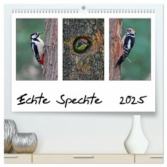 Echte Spechte (hochwertiger Premium Wandkalender 2025 DIN A2 quer), Kunstdruck in Hochglanz