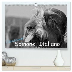 Carissimo Spinone Italiano (hochwertiger Premium Wandkalender 2025 DIN A2 quer), Kunstdruck in Hochglanz - Calvendo;Drafz, Silvia