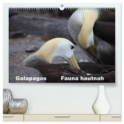 Galapagos. Fauna hautnah (hochwertiger Premium Wandkalender 2025 DIN A2 quer), Kunstdruck in Hochglanz - Calvendo;Krause, Johanna