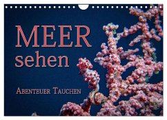 Meer sehen - Abenteuer Tauchen (Wandkalender 2025 DIN A4 quer), CALVENDO Monatskalender