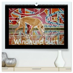 Windhund bunt (hochwertiger Premium Wandkalender 2025 DIN A2 quer), Kunstdruck in Hochglanz