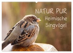 NATUR PUR Heimische Singvögel (Wandkalender 2025 DIN A2 quer), CALVENDO Monatskalender - Calvendo;Dietzel, Karin