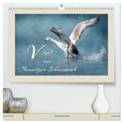 Vögel am Chemnitzer Schlossteich (hochwertiger Premium Wandkalender 2025 DIN A2 quer), Kunstdruck in Hochglanz