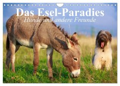 Das Esel-Paradies - Hunde und andere Feunde (Wandkalender 2025 DIN A4 quer), CALVENDO Monatskalender
