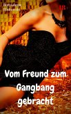 Vom Freund zum Gangbang gebracht (eBook, ePUB)