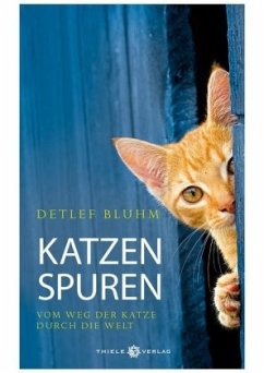 Katzenspuren  - Bluhm, Detlef