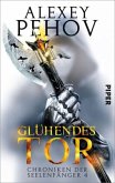 Glühendes Tor / Chroniken der Seelenfänger Bd.4 (Restauflage)