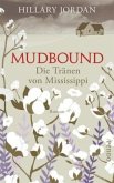 Mudbound - Die Tränen von Mississippi (Mängelexemplar)