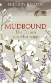 Mudbound - Die Tränen von Mississippi  (Mängelexemplar)