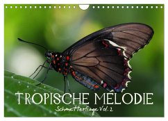 Tropische Melodie - Schmetterlinge Vol.2 (Wandkalender 2025 DIN A4 quer), CALVENDO Monatskalender - Calvendo;Photon (Veronika Verenin), Vronja