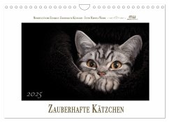 Zauberhafte Kätzchen (Wandkalender 2025 DIN A4 quer), CALVENDO Monatskalender