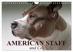 American Staff und Co. (Wandkalender 2025 DIN A4 quer), CALVENDO Monatskalender