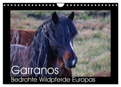 Garranos - Bedrohte Wildpferde Europas (Wandkalender 2025 DIN A4 quer), CALVENDO Monatskalender - Calvendo;Bengtsson/www.perlenfaenger.com, Sabine