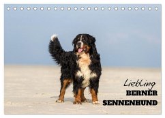 Liebling BERNER SENNENHUND (Tischkalender 2025 DIN A5 quer), CALVENDO Monatskalender