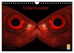 Unterwasser (Wandkalender 2025 DIN A4 quer), CALVENDO Monatskalender