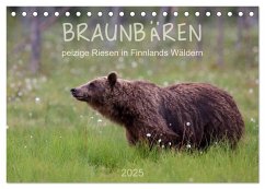 Braunbären - pelzige Riesen in Finnlands Wäldern (Tischkalender 2025 DIN A5 quer), CALVENDO Monatskalender