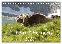 Kühe mit Hörnern (Tischkalender 2025 DIN A5 quer), CALVENDO Monatskalender