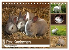 Rex - Kaninchen (Tischkalender 2025 DIN A5 quer), CALVENDO Monatskalender