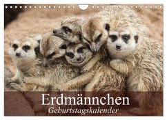 Erdmännchen (Wandkalender 2025 DIN A4 quer), CALVENDO Monatskalender