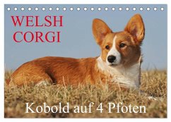 Welsh Corgi - Kobold auf 4 Pfoten (Tischkalender 2025 DIN A5 quer), CALVENDO Monatskalender