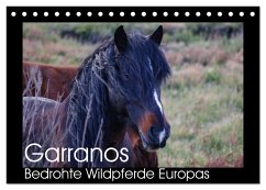 Garranos - Bedrohte Wildpferde Europas (Tischkalender 2025 DIN A5 quer), CALVENDO Monatskalender - Calvendo;Bengtsson/www.perlenfaenger.com, Sabine