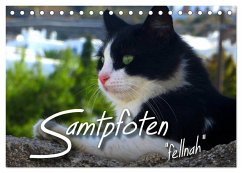 SAMTPFOTEN "fellnah" (Tischkalender 2025 DIN A5 quer), CALVENDO Monatskalender