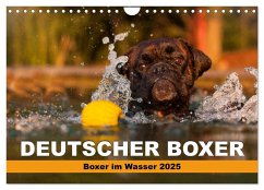 Deutscher Boxer - Boxer im Wasser 2025 (Wandkalender 2025 DIN A4 quer), CALVENDO Monatskalender