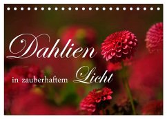 Dahlien in zauberhaftem Licht (Tischkalender 2025 DIN A5 quer), CALVENDO Monatskalender