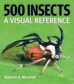 Cover 500 Insects