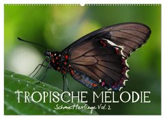 Tropische Melodie - Schmetterlinge Vol.2 (Wandkalender 2025 DIN A2 quer), CALVENDO Monatskalender