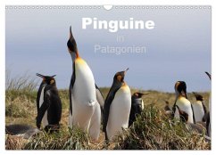 Pinguine in Patagonien (Wandkalender 2025 DIN A3 quer), CALVENDO Monatskalender