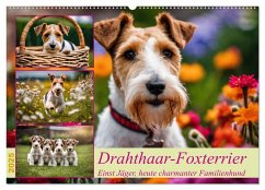 Drahthaar-Foxterrier (Wandkalender 2025 DIN A2 quer), CALVENDO Monatskalender