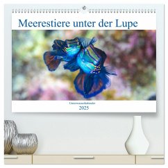 Meerestiere unter der Lupe - Unterwasserkalender (hochwertiger Premium Wandkalender 2025 DIN A2 quer), Kunstdruck in Hochglanz - Calvendo;Gruse, Sven