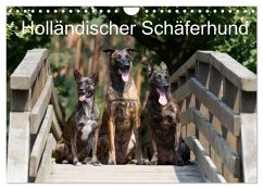 Holländischer Schäferhund (Wandkalender 2025 DIN A4 quer), CALVENDO Monatskalender