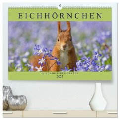 Eichhörnchen im Königlichen Garten (hochwertiger Premium Wandkalender 2025 DIN A2 quer), Kunstdruck in Hochglanz