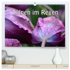 Tulpen im Regen (hochwertiger Premium Wandkalender 2025 DIN A2 quer), Kunstdruck in Hochglanz