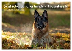 Deutsche Schäferhunde - Traumhunde (Wandkalender 2025 DIN A2 quer), CALVENDO Monatskalender