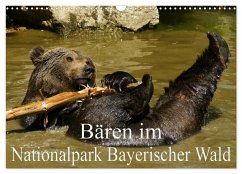 Bären im Nationalpark Bayerischer Wald (Wandkalender 2025 DIN A3 quer), CALVENDO Monatskalender