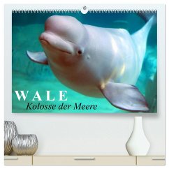 Wale - Kolosse der Meere (hochwertiger Premium Wandkalender 2025 DIN A2 quer), Kunstdruck in Hochglanz