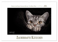 Zauberhafte Kätzchen (Wandkalender 2025 DIN A2 quer), CALVENDO Monatskalender